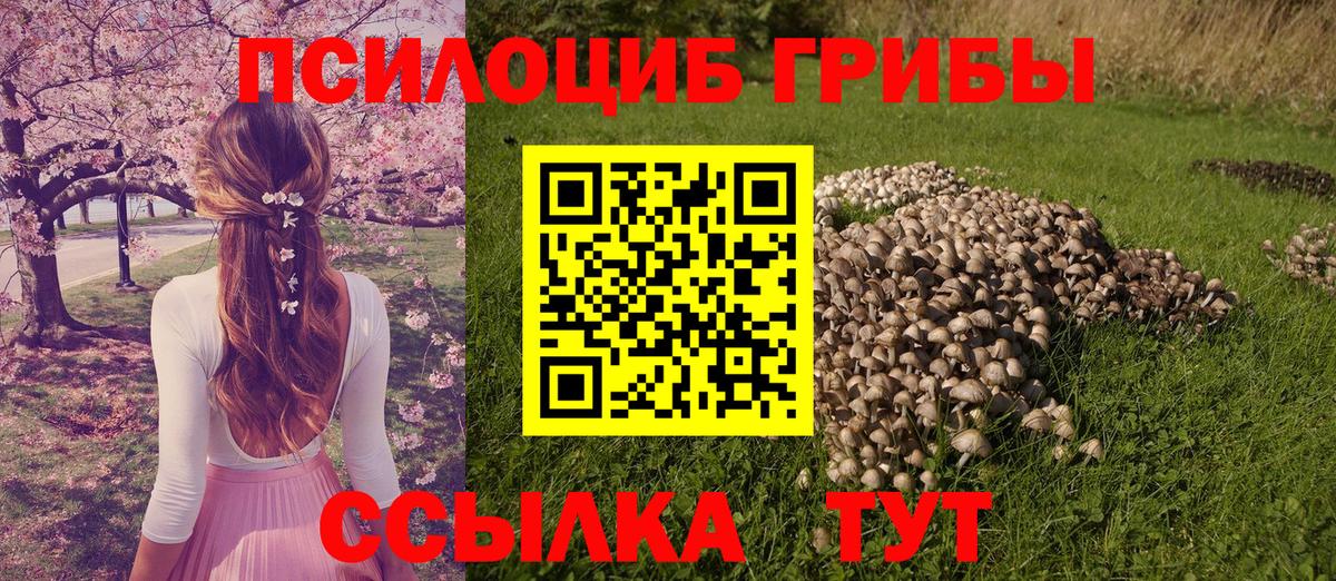 Псилоцибиновые грибы ЛСД Чистополь