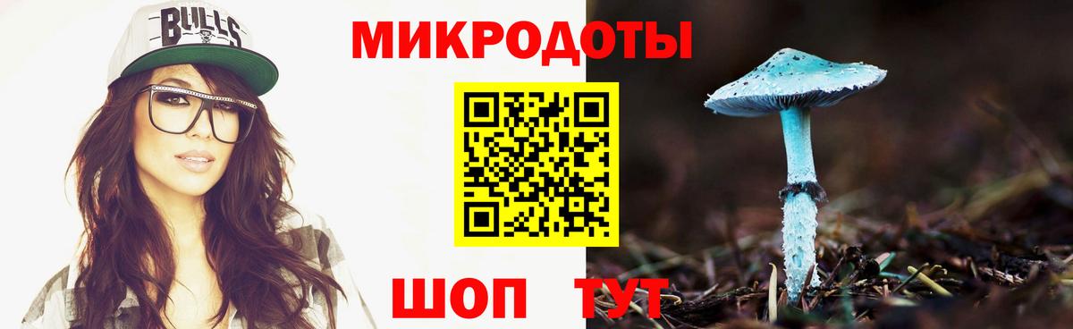 купить наркоту  Галлюциногенные грибы GOLDEN TEACHER  Вход с VPN  Чистополь 