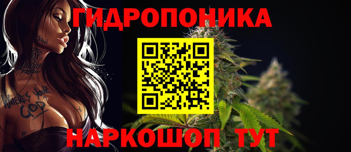 Конопля индика  Шишки марихуана планчик  Вход с VPN  Чистополь  Каннабис White Widow 
